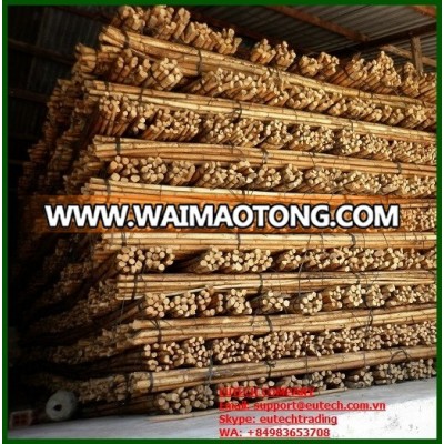 Vietnam Rattan cane raw material