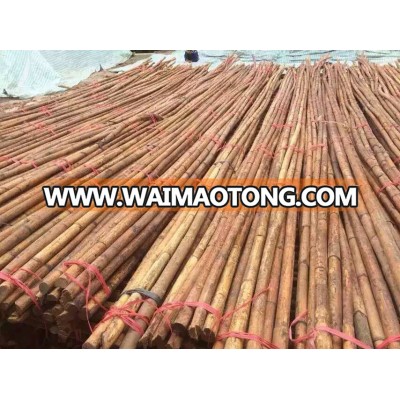 Vietnam raw rattan cane material dia 15mm to 40mm