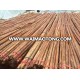 Vietnam raw rattan cane material dia 15mm to 40mm