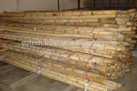 Rattan cane raw material