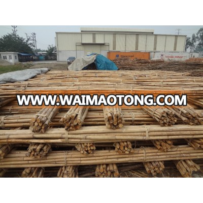 Vietnam rattan cane dia 15mm to 40mm