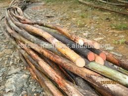 Rattan cane raw material for furniture