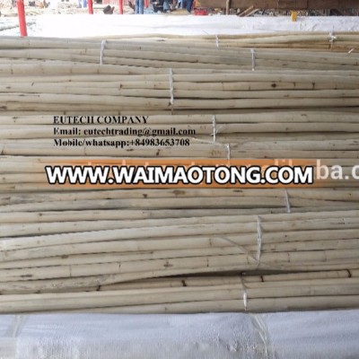 VIETNAM HIGHT QUALITY POLISH RATTAN MATERIAL